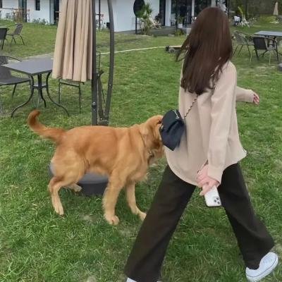 怪人魂