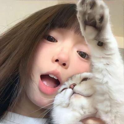 透光的树